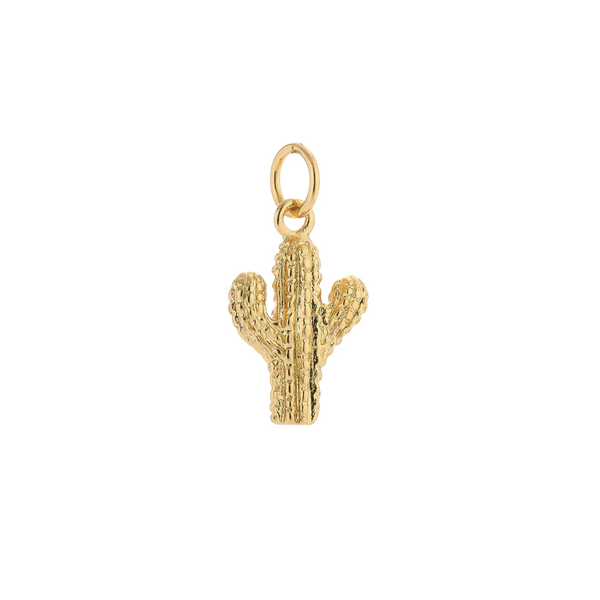 Cactus Charm
