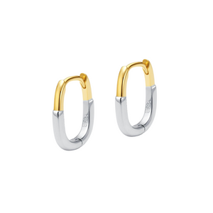 CIN TWO TONE Earrings
