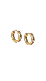 DESI Earring Set